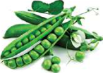 Pea: a flowering plant that forms seeds inside pods.