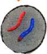 Daughter cell 1 of 4: haploid