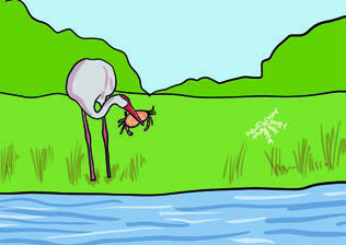 The crane carried the crab in his beak, just as he had carried the fish one by one.