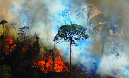 A forest burning. Fires like this send smoke and gases into the air and push the earth's climate further out of balance.