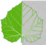 The vein down the middle of a leaf is the very line that folds its two sides onto each other.