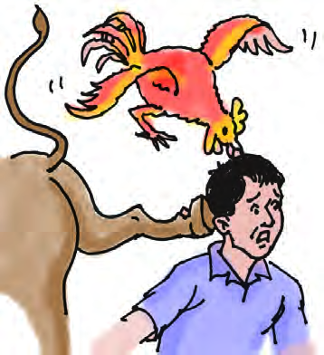 The cock flies down screeching at the thief's head while the donkey kicks him from behind.