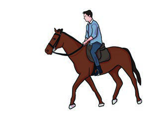 Can you ride a horse?