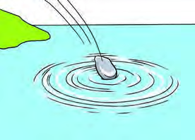 A wave produced in water. Rings of ripples spread outward from the point where the surface was struck.
