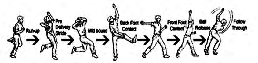The whole bowling action in order, from the run-up, through the delivery stride and ball release, to the follow-through that brings the body to a stop.