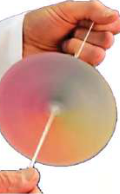 A Newton's disc spun fast on a thread: its painted colours blur together into a pale, nearly white disc.