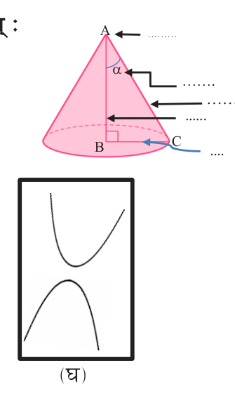 Hyperbola: two separate open branches, drawn below the cone that all four curves are cut from.