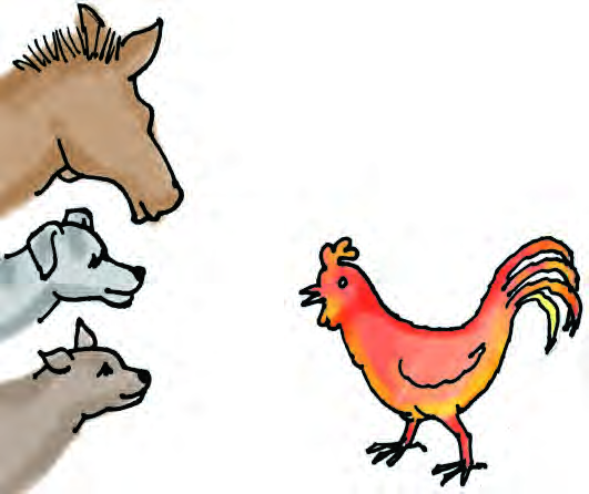 The donkey, the dog and the cat listen as the cock crows out his sad story.