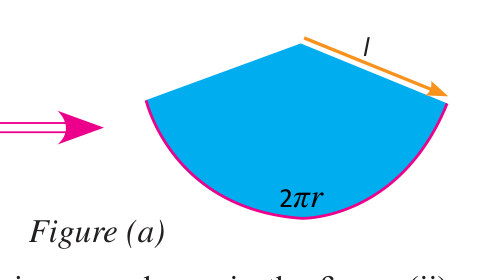Spread flat, the curved surface is a sector with radius \( l \) and arc \( 2 \pi r \).