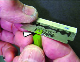 Each cut takes the thinnest possible section