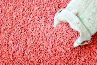 The red grains of potassium chloride spilling from a sack, the chemical fertilizer that supplies plants potassium.