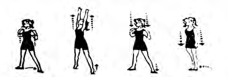 The four movements: hands on the shoulders, arms up while rising on the toes, hands back to the shoulders, then attention.