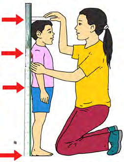 Standing beside a measuring tape fixed to the wall, a height is read off in feet together with inches.