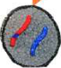 Daughter cell 4 of 4: haploid