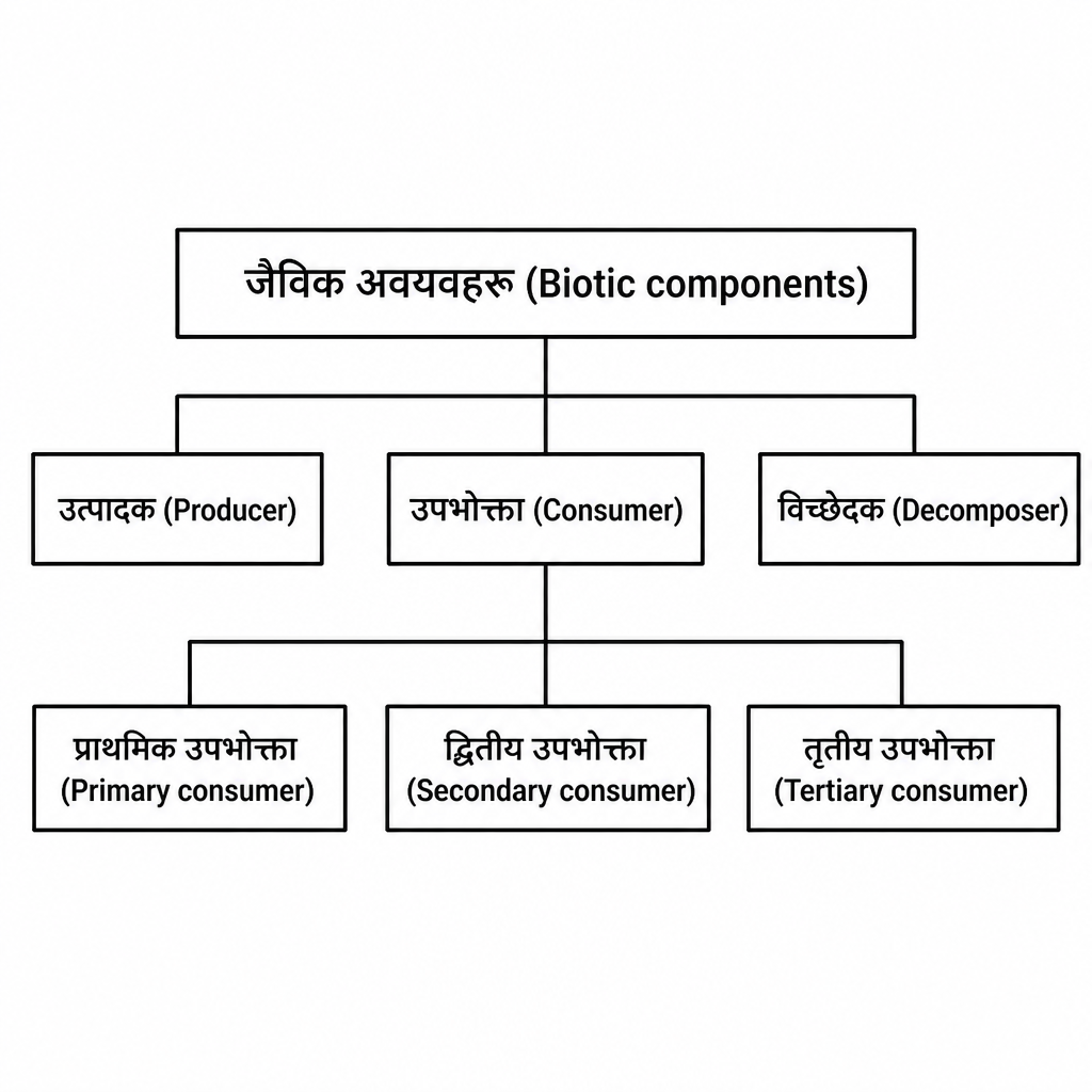 Classification of the living community on the basis of energy flow.