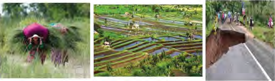People carry grass and firewood from the forest, farm on terraced land and cut roads across hill slopes. All three uses depend on the same natural surroundings.