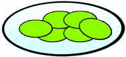 The cut sections are placed in a watch glass