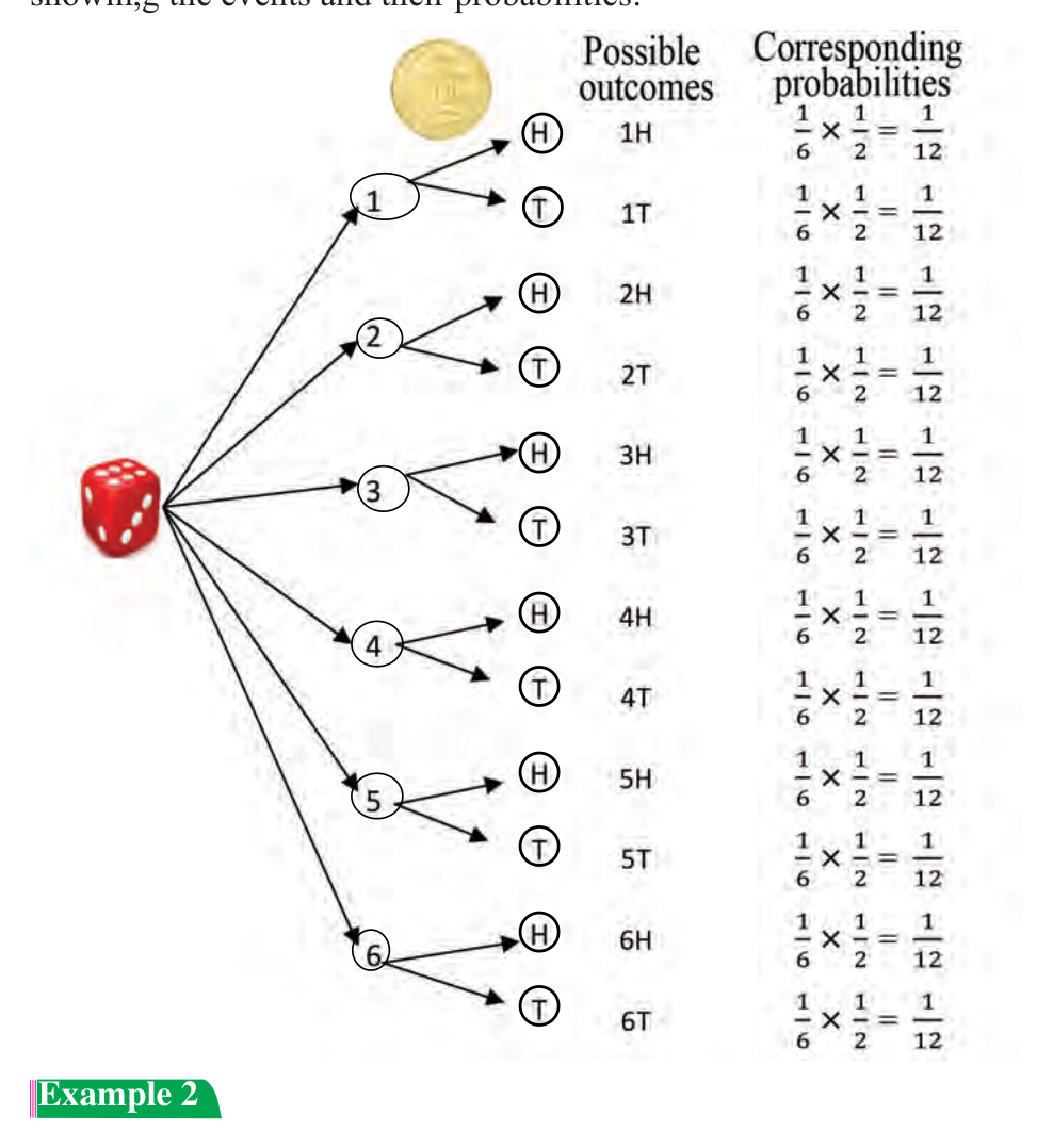 Die first, coin second: twelve paths, each ending in an outcome whose probability is one sixth times one half.