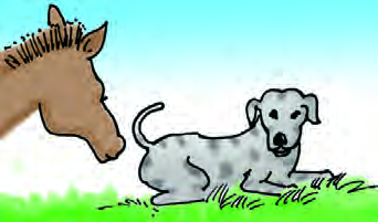 On the road the donkey meets an old, tired dog whose master no longer wants him.