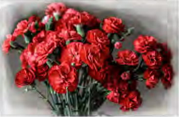 Red carnations, the Russian flower of patriotism and victory.