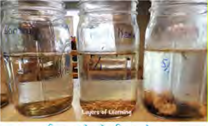 The three bottles after about fifteen days: they began with the same water, yet the amount of algae in each is now different according to what was added.