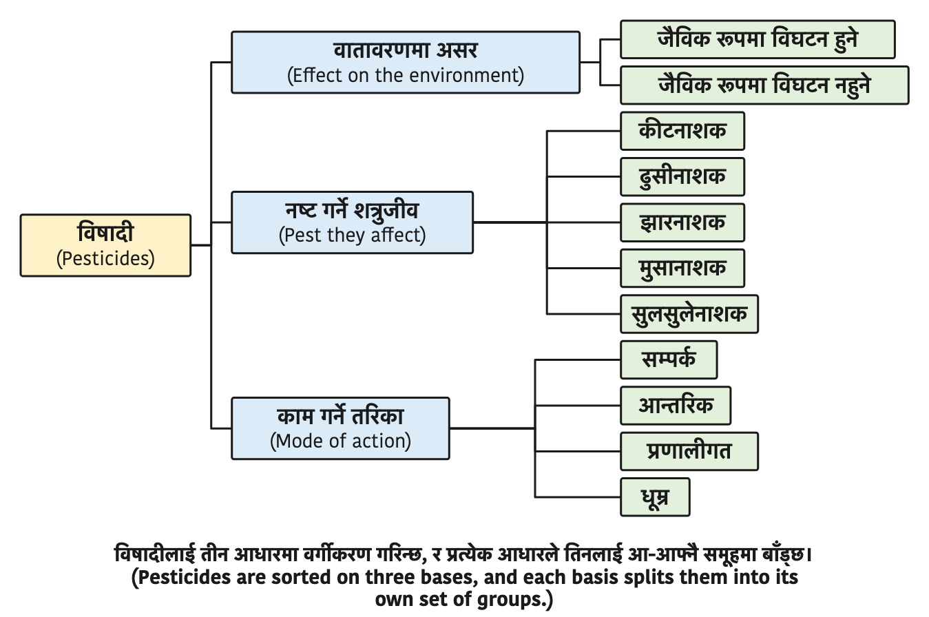 Pesticides are sorted on three bases, and each basis splits them into its own set of groups.