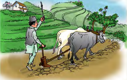 आफूले रोजेको पेसा गर्न पाउनु र त्यसबाट जीविका चलाउन पाउनु हरेक मानिसको अधिकार हो ।