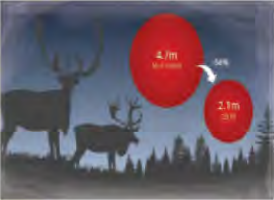 A herd of reindeer that fell from 4.7 million to 2.1 million, a drop of 54 percent: a population can shrink as well as grow.