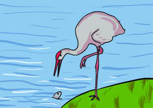 The old crane stood by the water, too weak to catch the fish swimming near the bank.
