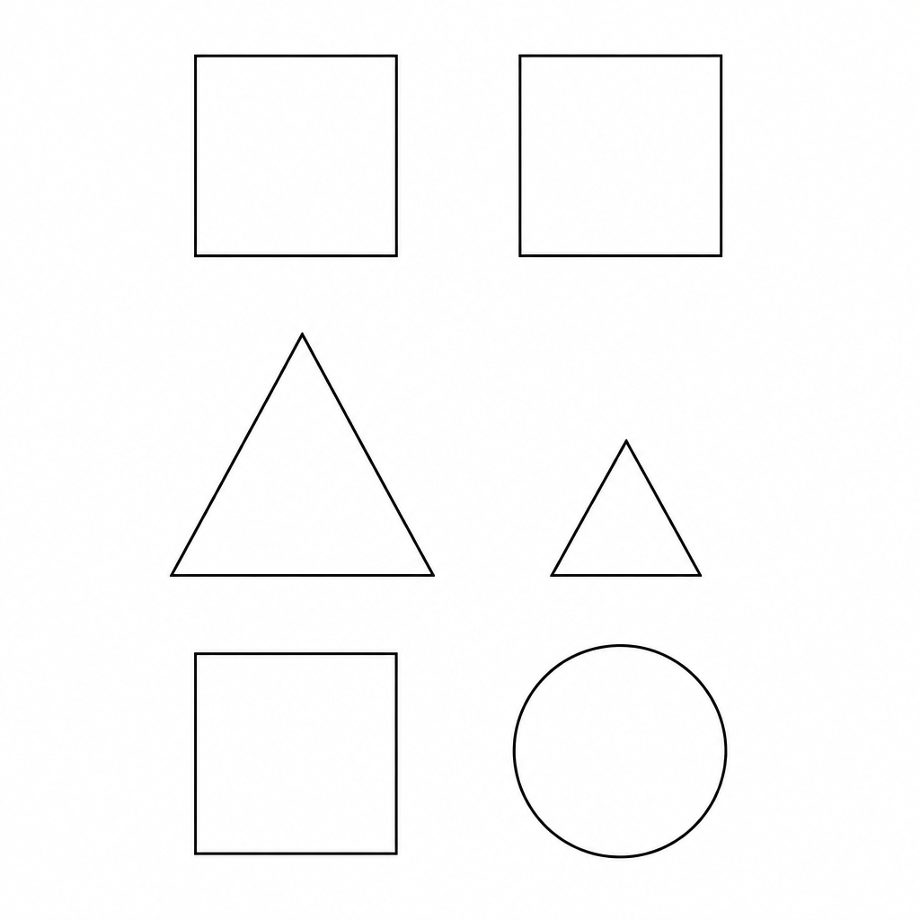 The three kinds of pair: equal in shape and size, alike in shape only, and different in shape.