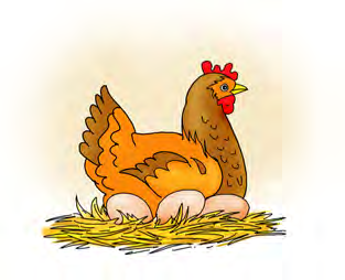A hen can lay eggs, run and walk, but it can't read and write like you.