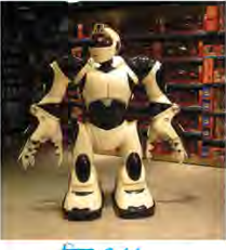A robot built in the shape of a human body, with arms, legs and a head designed to move the way a person's do.