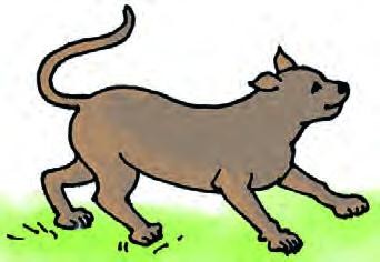 The cat, too old to catch mice, runs to join the travellers.