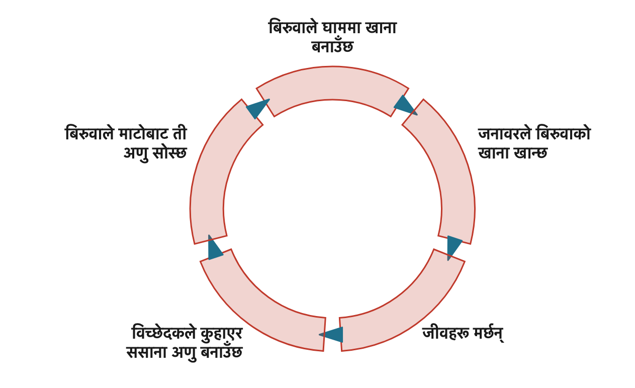 The cycle of nature: from soil and sunlight to plants, from plants to animals, and after death back through decay into the soil and the plants again.
