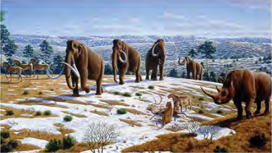 Mammoth elephants with huge tusks, and rhinoceros-like mammals, animals that appeared in this era and later died out.