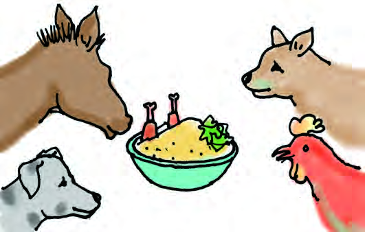 The four friends enjoy the big meal the thieves left behind on the table.