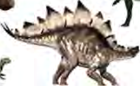 A plant-eating dinosaur with plates of bone standing up along its back.