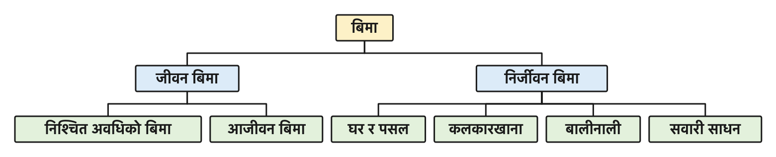 बिमाका दुई मुख्य प्रकार: मानिसको जीवनका लागि जीवन बिमा र सम्पत्तिका लागि निर्जीवन बिमा