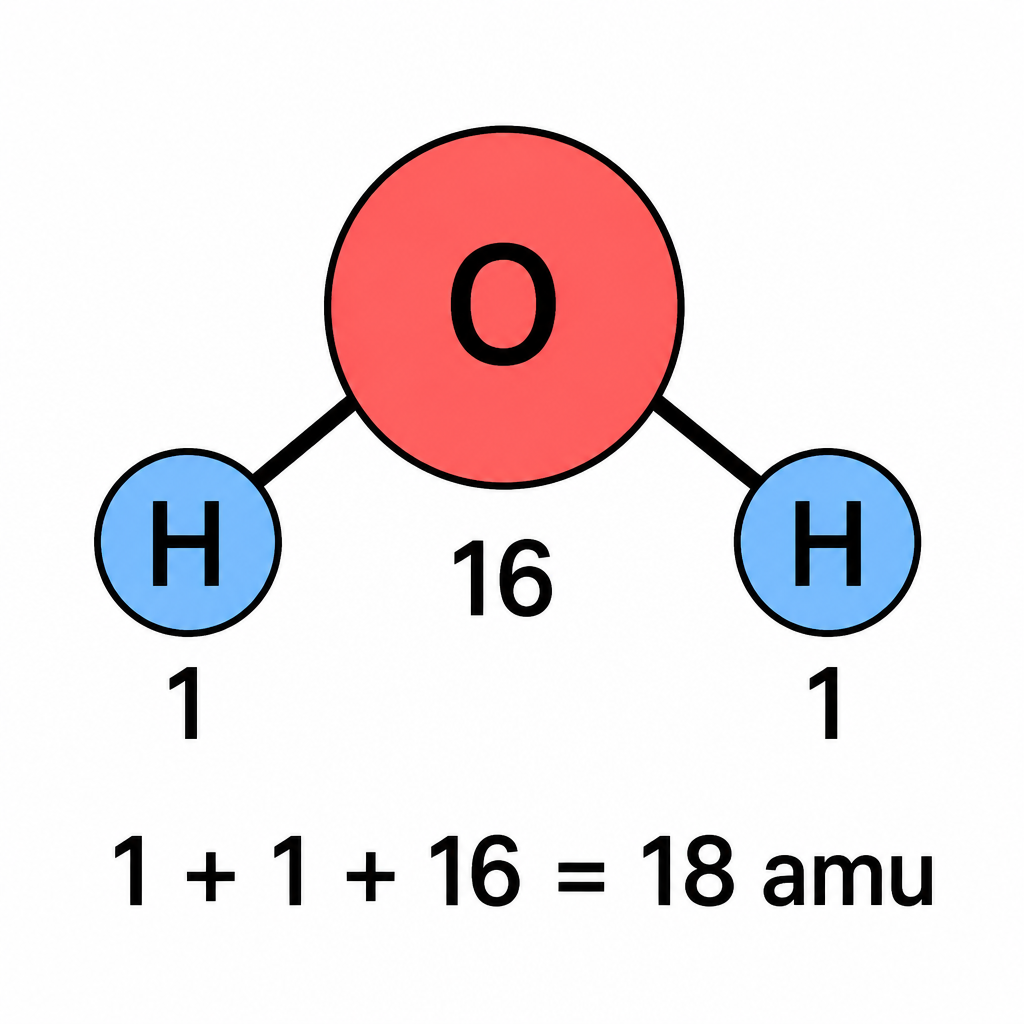 One molecule of water holds two hydrogen atoms and one oxygen atom, and their weights add up to 18 amu.