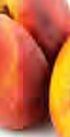 A stone fruit like the peach has a hard, heavy seed, so once it ripens the fruit drops straight to the ground.