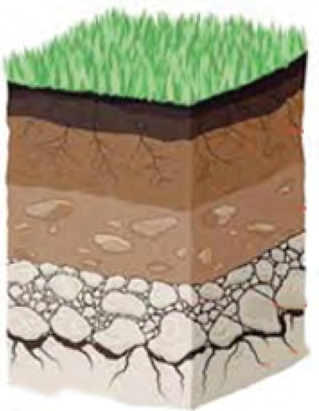 The layers of a soil profile, with dark topsoil above, subsoil below it and rock at the bottom