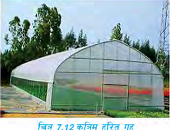 A tunnel shaped greenhouse covered with transparent plastic, inside which plants go on growing in warmth.