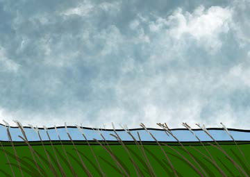 Tall grass bending one way under a moving wind, beneath a wide cloudy sky: the wind itself cannot be seen, only what it does.