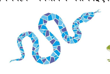 A snake slides along the ground, so its body touches every point of its path.