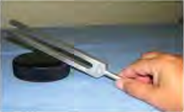 Struck on a rubber pad, the prongs of a tuning fork vibrate and give out sound.