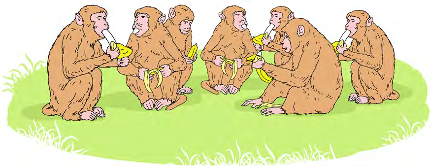 Bananas in every mouth, and the fast is over before it has begun.