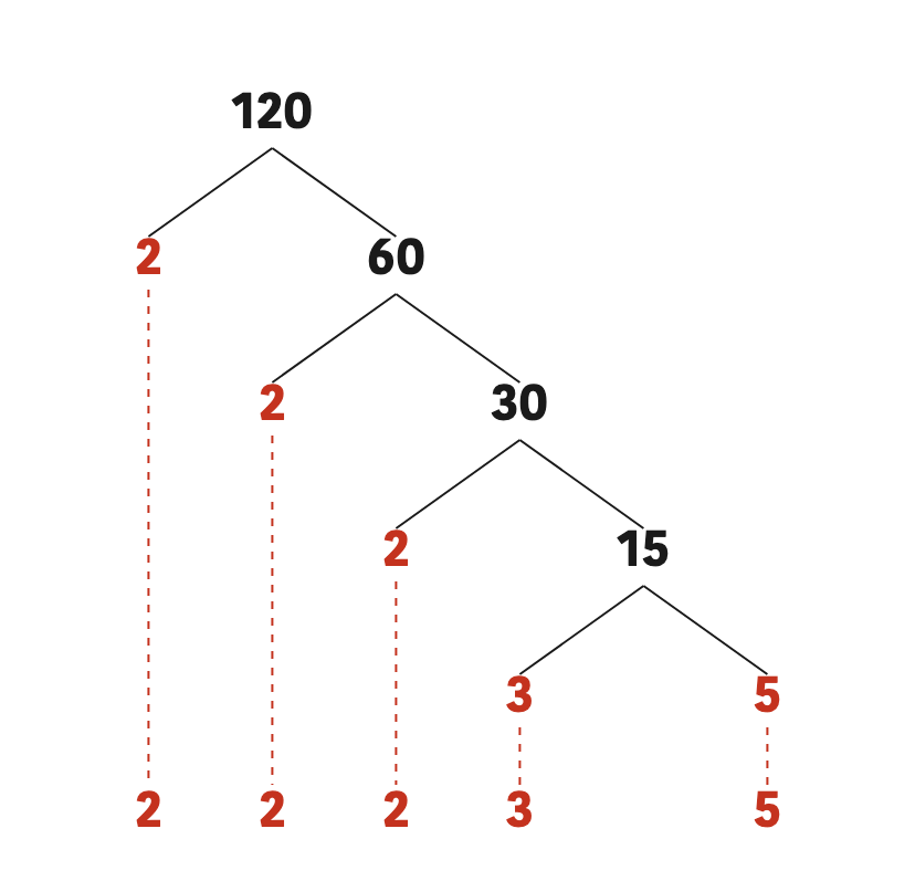 The factor tree for 120. At each stage only a composite factor is split, while a prime factor is carried straight down.