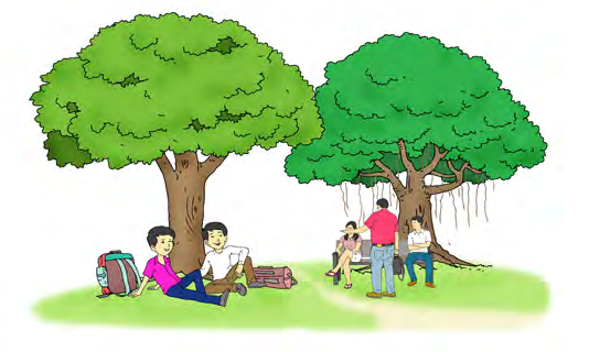 The Bar and Pipal trees of the Chautaro, where villagers used to rest, talk and play.