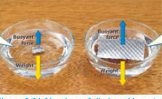 Aluminium foil placed in water: the squeezed ball sinks while a flat sheet of the same foil floats. The upward arrow is the upthrust and the downward arrow is the weight.