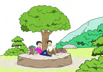 Children used to sit, read and rest under a big tree on a raised stone platform.
